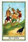 Druidcraft Tarot (Boxed Set)