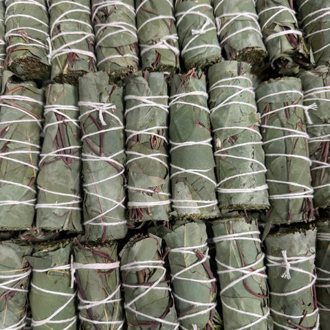 Mini Smudge: Eucalyptus