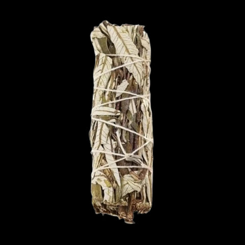 Smudge Kit: Yerba Santa
