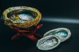 Abalone Shell Stand